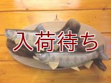 ヤマメ壁掛け　２匹