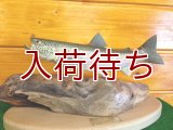 イトウ置物　中