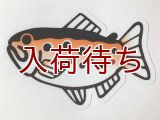 魚ステッカー　ブラウントラウト　小