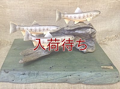 画像1: オショロコマ　3匹　