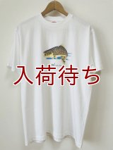 Tシャツ　アメマス　跳ねブルー　半袖