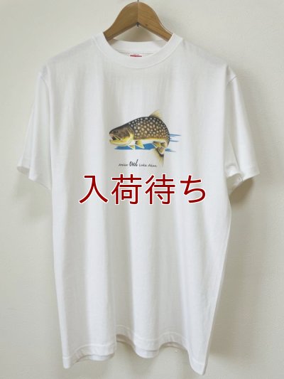画像1: Tシャツ　アメマス　跳ねブルー　半袖
