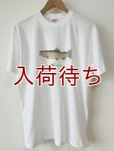 Tシャツ　ニジマス　半袖