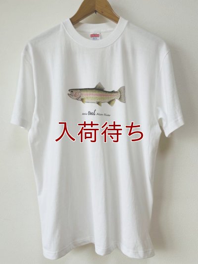 画像1: Tシャツ　ニジマス　半袖