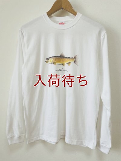 画像1: Tシャツ　アメマス　リブ付長袖