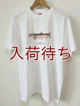Tシャツ　イトウ　半袖