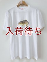 Tシャツ　アメマス跳ね　半袖