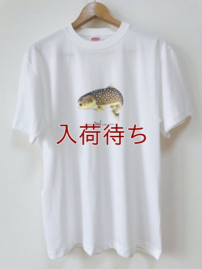 画像1: Tシャツ　アメマス跳ね　半袖