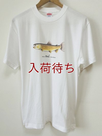 画像1: Tシャツ　アメマス　半袖