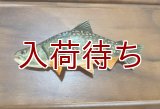 ブルックトラウト　ブローチ　大