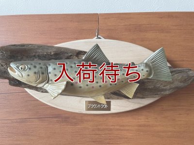 画像1: ブラウントラウト壁掛け　中