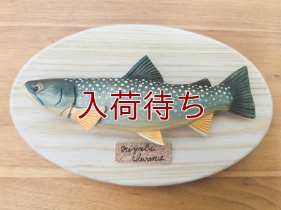 画像1: ミヤベイワナ壁掛け　ミニ