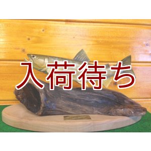 画像: アメマス置物　中