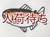 画像: 魚ステッカー　ブラウントラウト　小