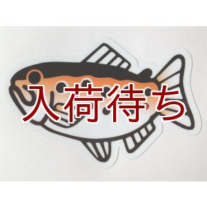 画像: 魚ステッカー　ブラウントラウト　大