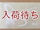画像: 転写ステッカー モンカゲフライ大 (ホワイト)