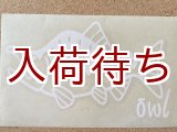 画像: 転写ステッカー カラフトマス 小 (ホワイト)