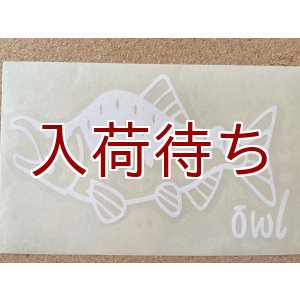 画像: 転写ステッカー カラフトマス 小 (ホワイト)