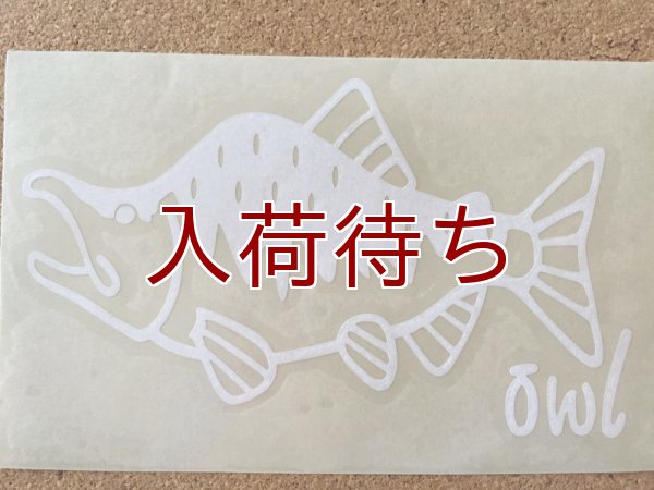 画像1: 転写ステッカー カラフトマス 小 (ホワイト)