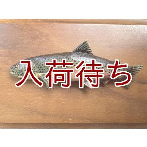 画像: イトウ　ブローチ　大