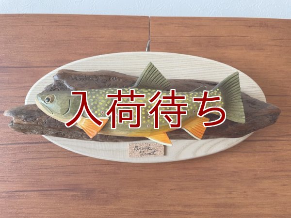 画像1: ブルックトラウト 壁掛け　小