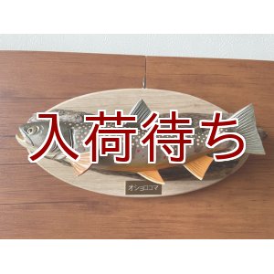 画像: オショロコマ壁掛け　中