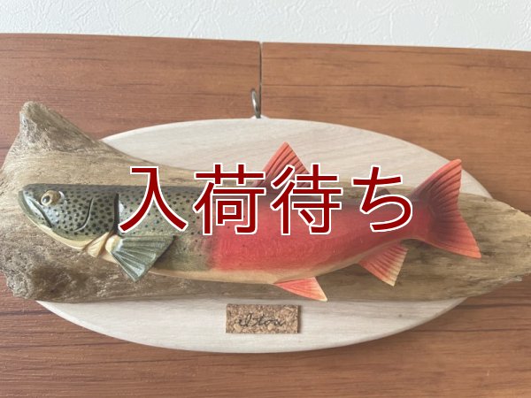 画像1: イトウ(婚姻色)壁掛け　小