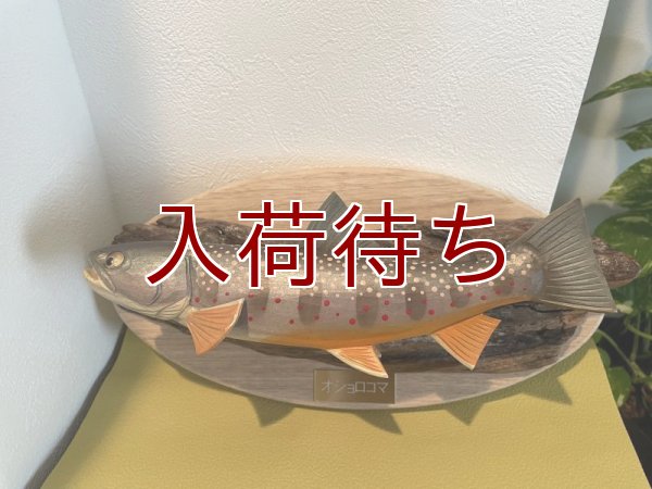 画像4: オショロコマ壁掛け　中