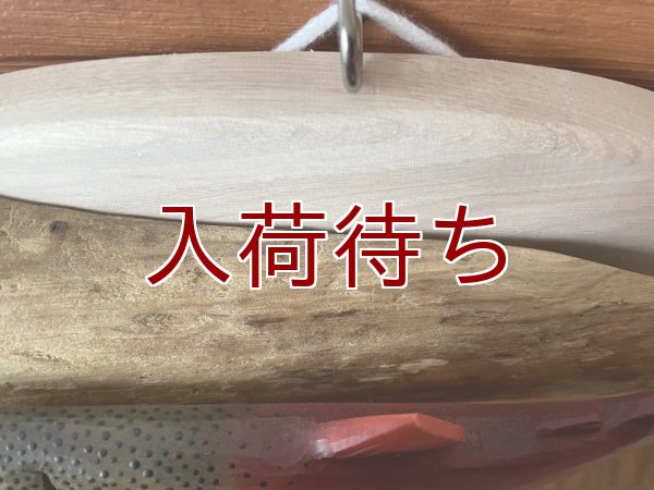画像3: イトウ(婚姻色)壁掛け　小