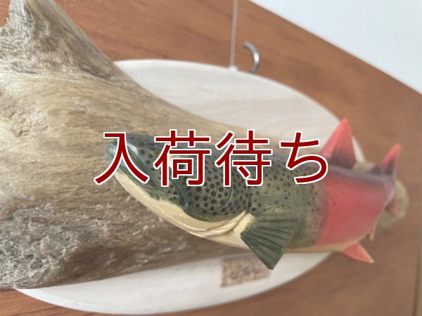 画像2: イトウ(婚姻色)壁掛け　小