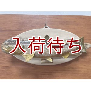 画像: アメマス壁掛け　中