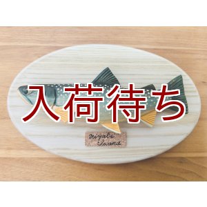 画像: ミヤベイワナ壁掛け　ミニ