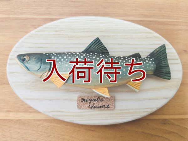 画像1: ミヤベイワナ壁掛け　ミニ